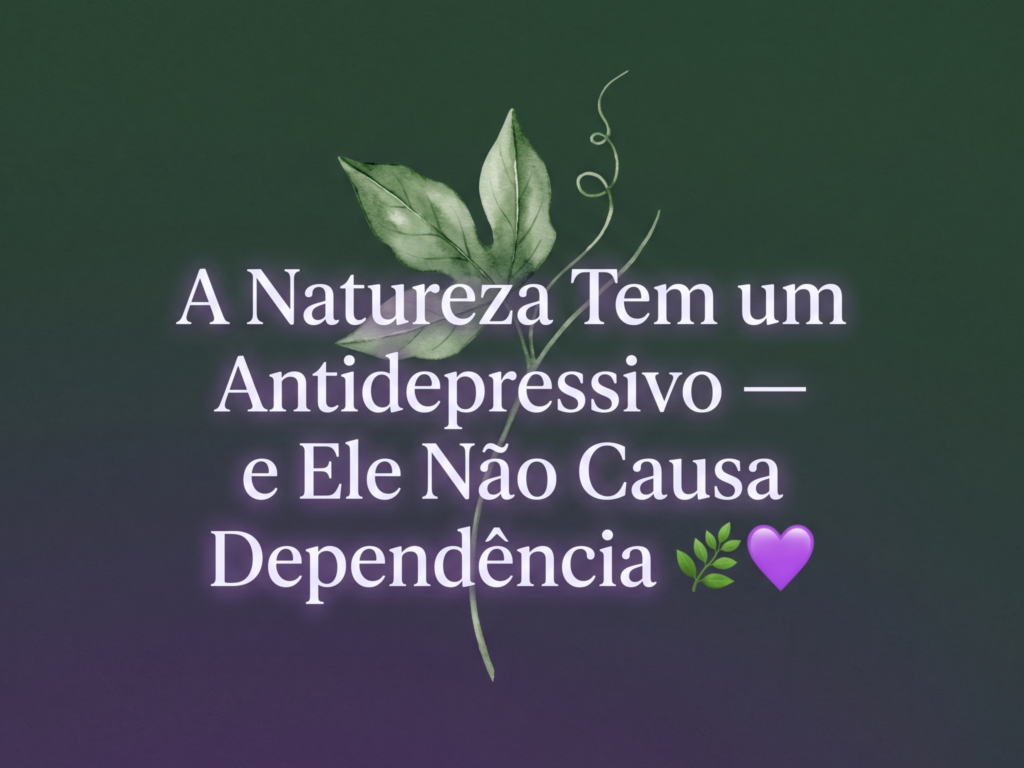 fitoterápicos para ansiedade, fitoterápicos para o humor, ashwagandha ansiedade, passiflora benefícios, fitoterapia integrativa
